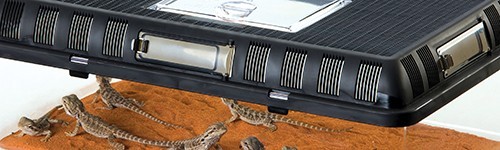 Terrarios de plástico - Exofauna