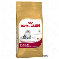 Royal Canin Persian - Alimento para gatos persas