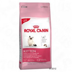Royal Canin Kitten - Alimento para gatitos