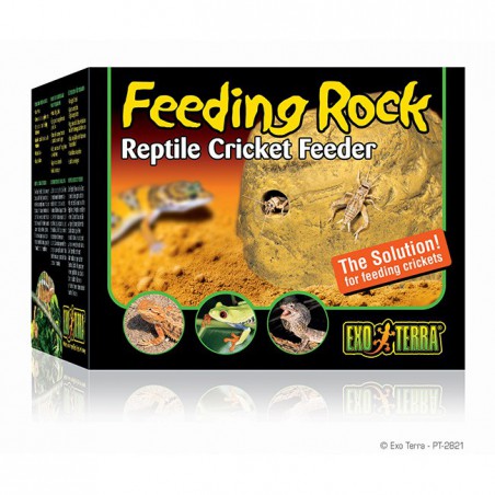 Feeding Rock - Comedero de Exo-Terra para Reptiles y Anfibios