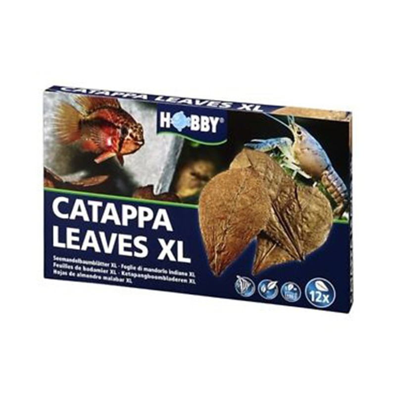 Hobby Catappa Leaves XL - hojas de almendro para acuarios