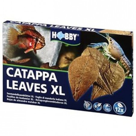 Hobby Catappa Leaves XL - hojas de almendro para acuarios