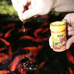 JBL ProNovo Red - comida en escamas para peces de agua fría