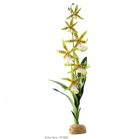 Spider Orchid de Exo-Terra - Orquídea sintética para terrarios