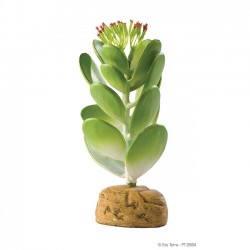 Jade Cactus de Exo-Terra - planta sintética para terrarios