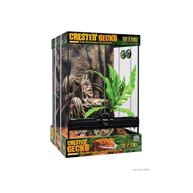 Exo-Terra Crested Gecko Kit - pequeño