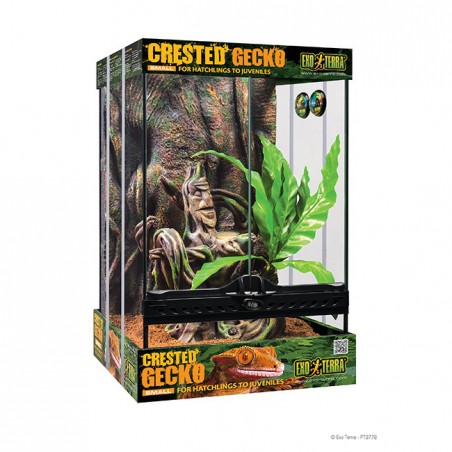 Exo-Terra Crested Gecko Kit - pequeño