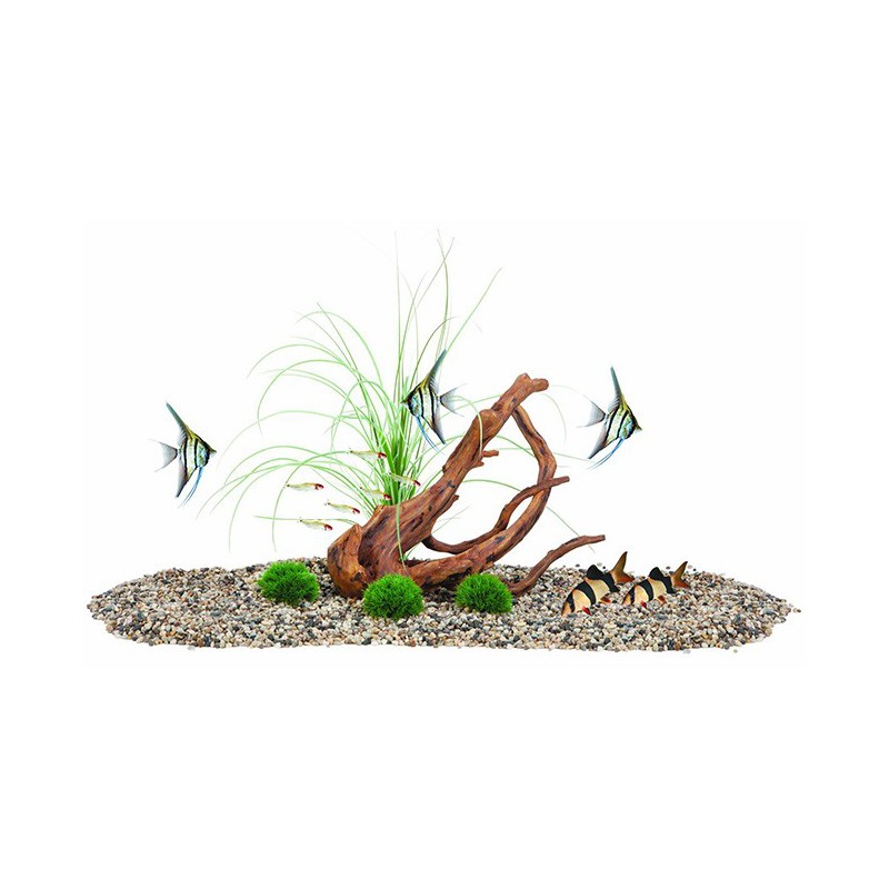 Fluval Decor Naturalist Kit