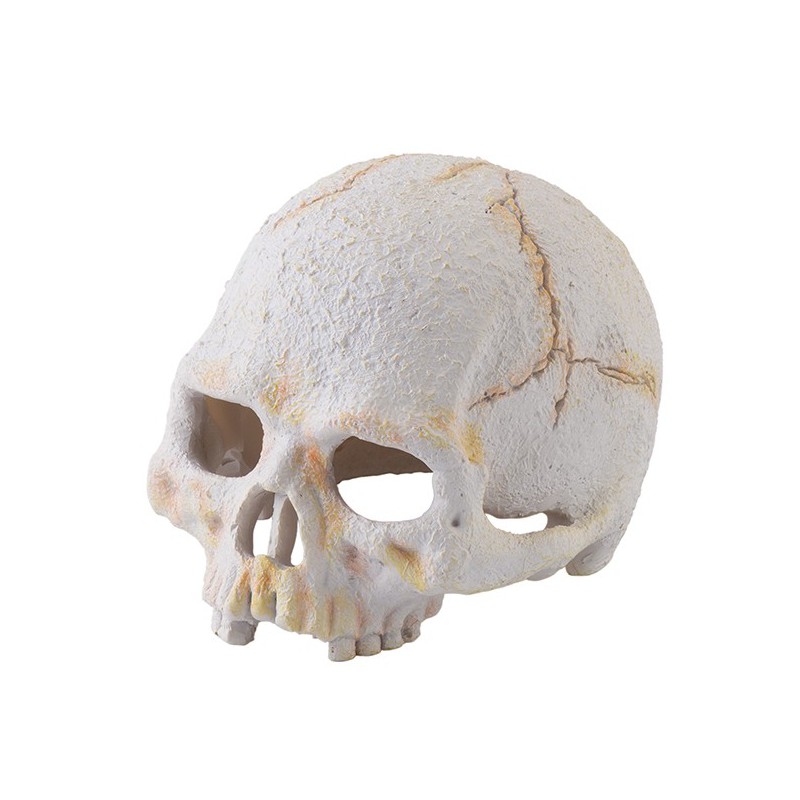 Exo-Terra Refugio Primate Skull para Terrarios