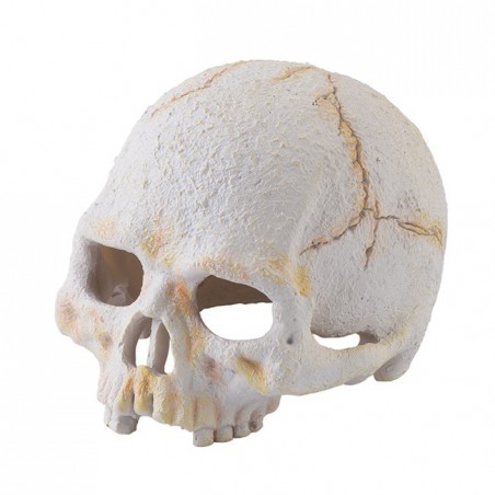 Exo-Terra Refugio Primate Skull para Terrarios