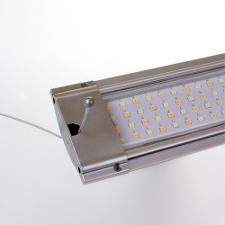 JBL LED Solar Hanging Cable de Suspensión