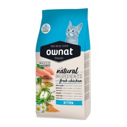 ownat classic kitten...