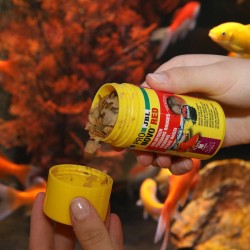JBL ProNovo Red - comida en escamas para peces de agua fría