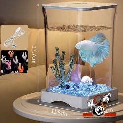 Bettera clear tank
